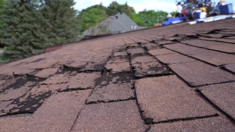 Roof Coating Services in Gladstone, MI